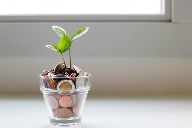 clear cup with a plant growing from coins