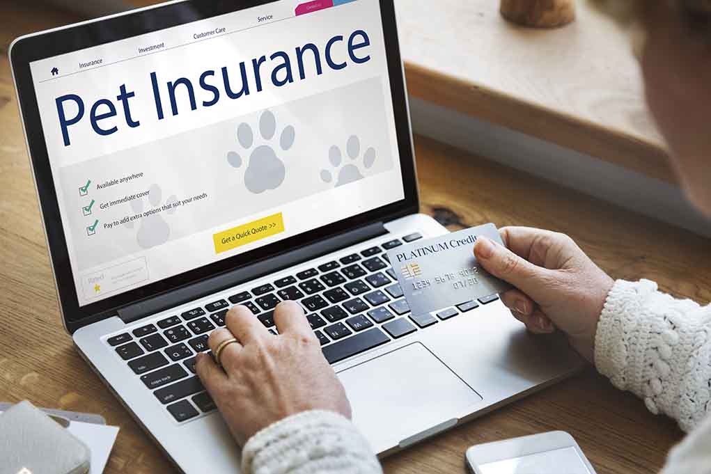 How to Research Unusual Insurance
